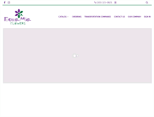 Tablet Screenshot of ecuamiaflowers.com